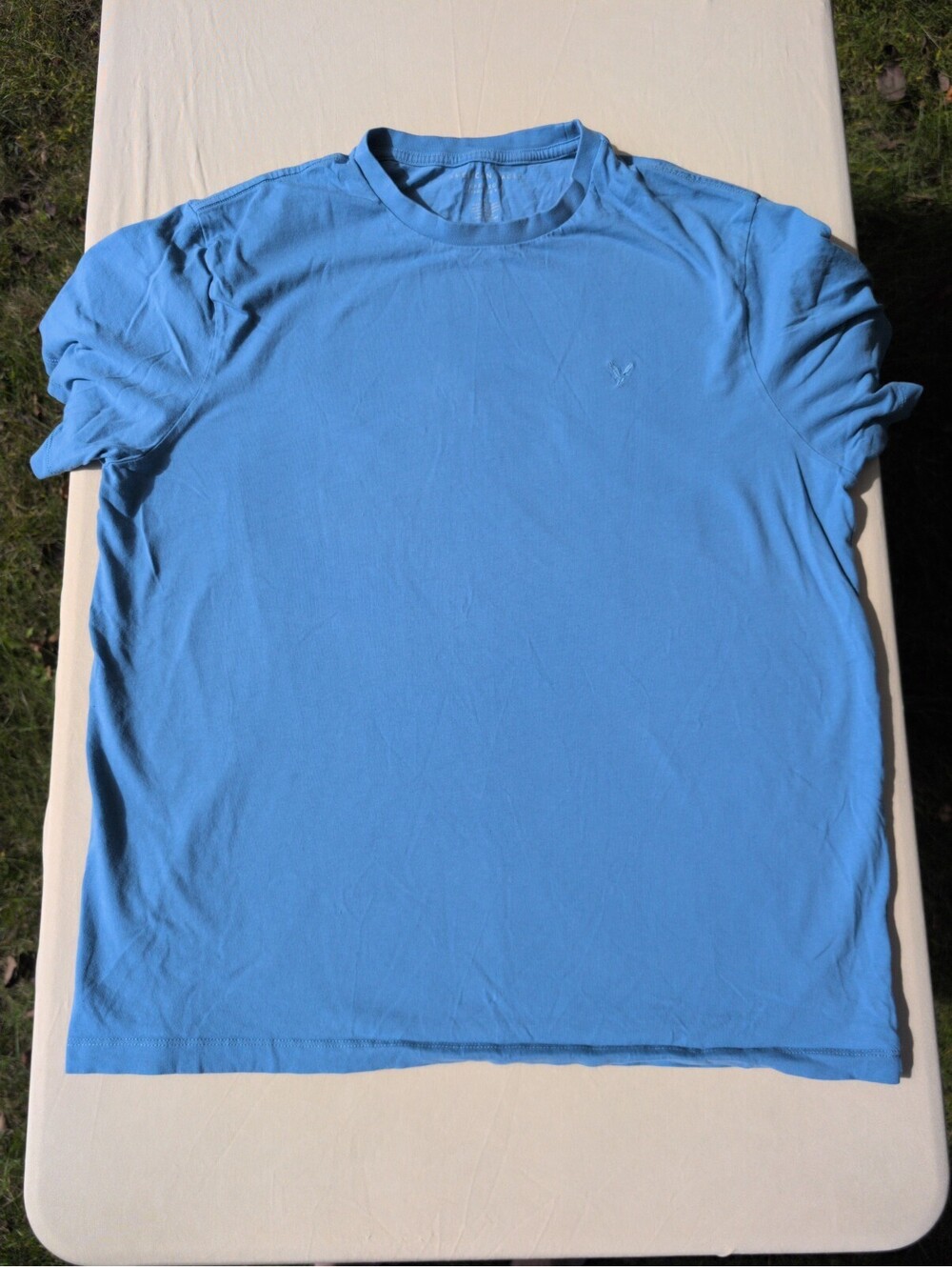 American Eagle Super Soft Standard Fit T-Shirt Mens L Blue Tee GUC